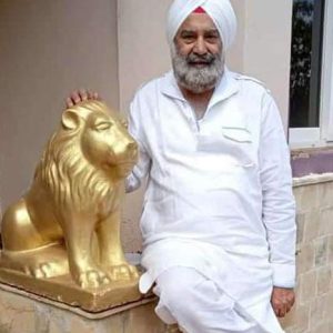 N p Singh